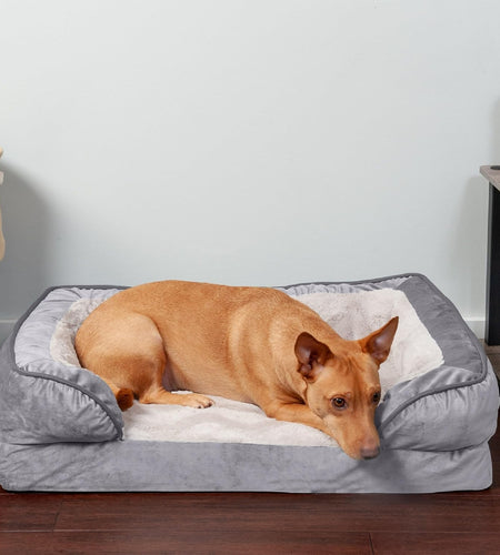 Orthopedic, Cooling Gel, and Memory Foam Pet Beds for Small, Medium, and Large Dogs and Cats - Luxe Perfect Comfort Sofa Dog Bed, Performance Linen Sofa Dog Bed, and More