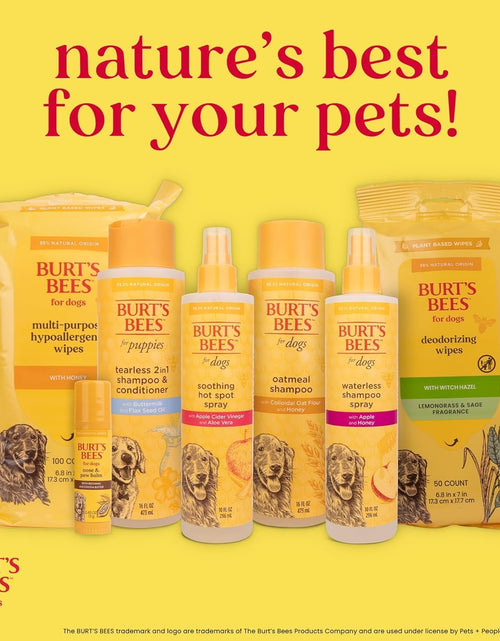 Load image into Gallery viewer, Puppies Natural Tearless 2 in 1 Shampoo and Conditioner | Made with Buttermilk and Linseed Oil | Best Tearless Puppy Shampoo for Gentle Skin and Coat | Made in USA, 16 Oz
