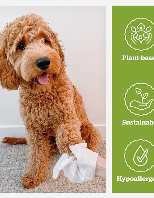 Load image into Gallery viewer, Pogi'S Grooming Wipes - Hypoallergenic Pet Wipes for Dogs &amp; Cats - Plant-Based, Earth-Friendly, Deodorizing Dog Wipes
