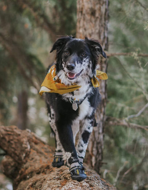Load image into Gallery viewer, Dog Boots Waterproof Shoes for Large Dogs with Reflective Strips Rugged Anti-Slip Sole Black 4PCS (Size 6: 2.6''X3.0''(W*L) for 52-65 Lbs, Black)
