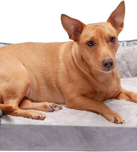 Orthopedic, Cooling Gel, and Memory Foam Pet Beds for Small, Medium, and Large Dogs and Cats - Luxe Perfect Comfort Sofa Dog Bed, Performance Linen Sofa Dog Bed, and More