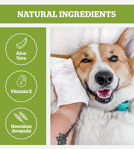 Pogi'S Grooming Wipes - Hypoallergenic Pet Wipes for Dogs & Cats - Plant-Based, Earth-Friendly, Deodorizing Dog Wipes