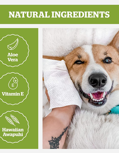 Load image into Gallery viewer, Pogi'S Grooming Wipes - Hypoallergenic Pet Wipes for Dogs &amp; Cats - Plant-Based, Earth-Friendly, Deodorizing Dog Wipes
