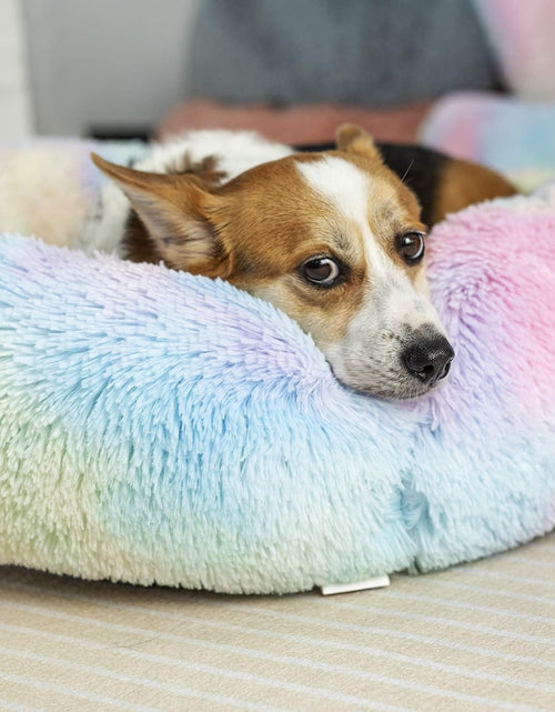 Load image into Gallery viewer, anti Anxiety round Fluffy Plush Faux Fur Warm Washable Dog Bed &amp; Cat Bed, Original Bed for Small Medium Large Pets,Used to Relieve Joints and Improve Sleep（20"/24"/27''） (20", Rainbow)
